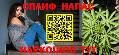 сатива Будённовск