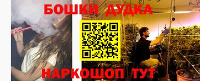 сатива Будённовск