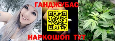 сатива Будённовск